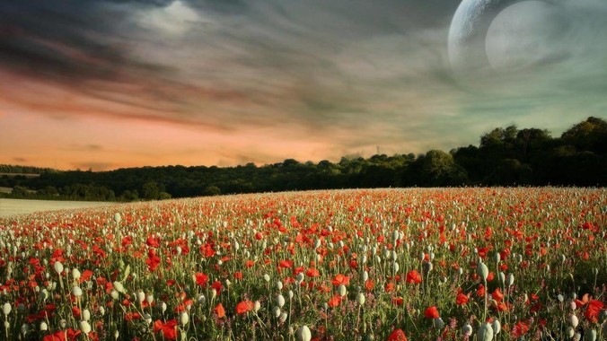 Rust 的设计缺陷是什么？